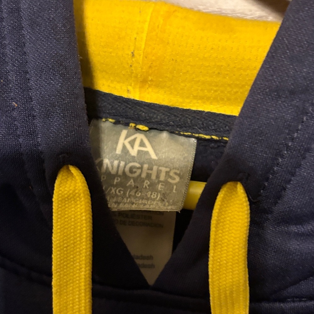 University of Michigan hooded sweatshirt in great condition. - Picture 2 of 3